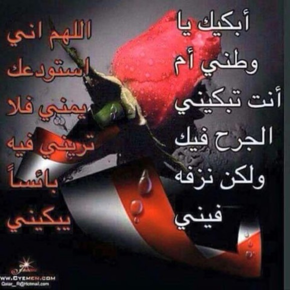 Meet your Posher, Mohamed - Picture 1 of 1